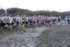 Start of the B Race 2013 BUCS Cross Country Championships.